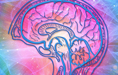 psychedelic brain wave